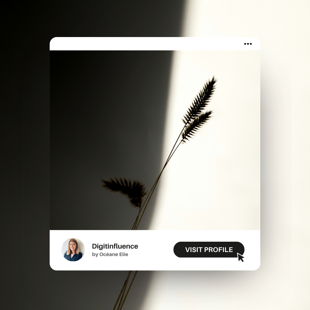 Réalisation digitinfluence